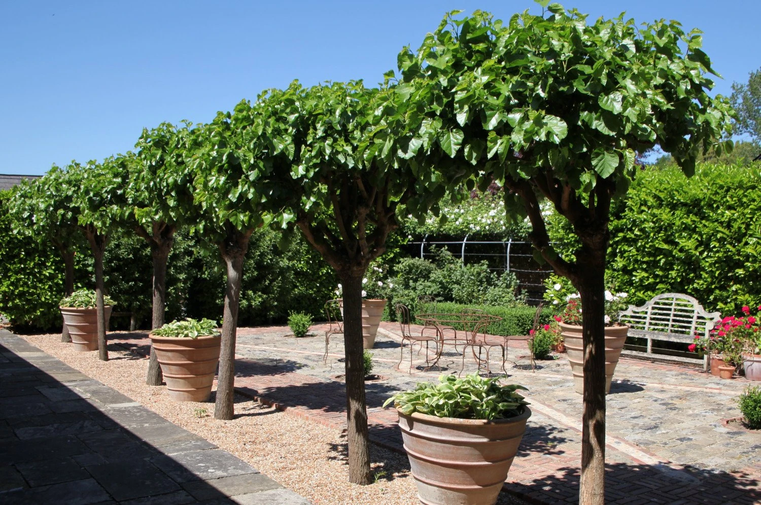 Garden Patios & Courtyards